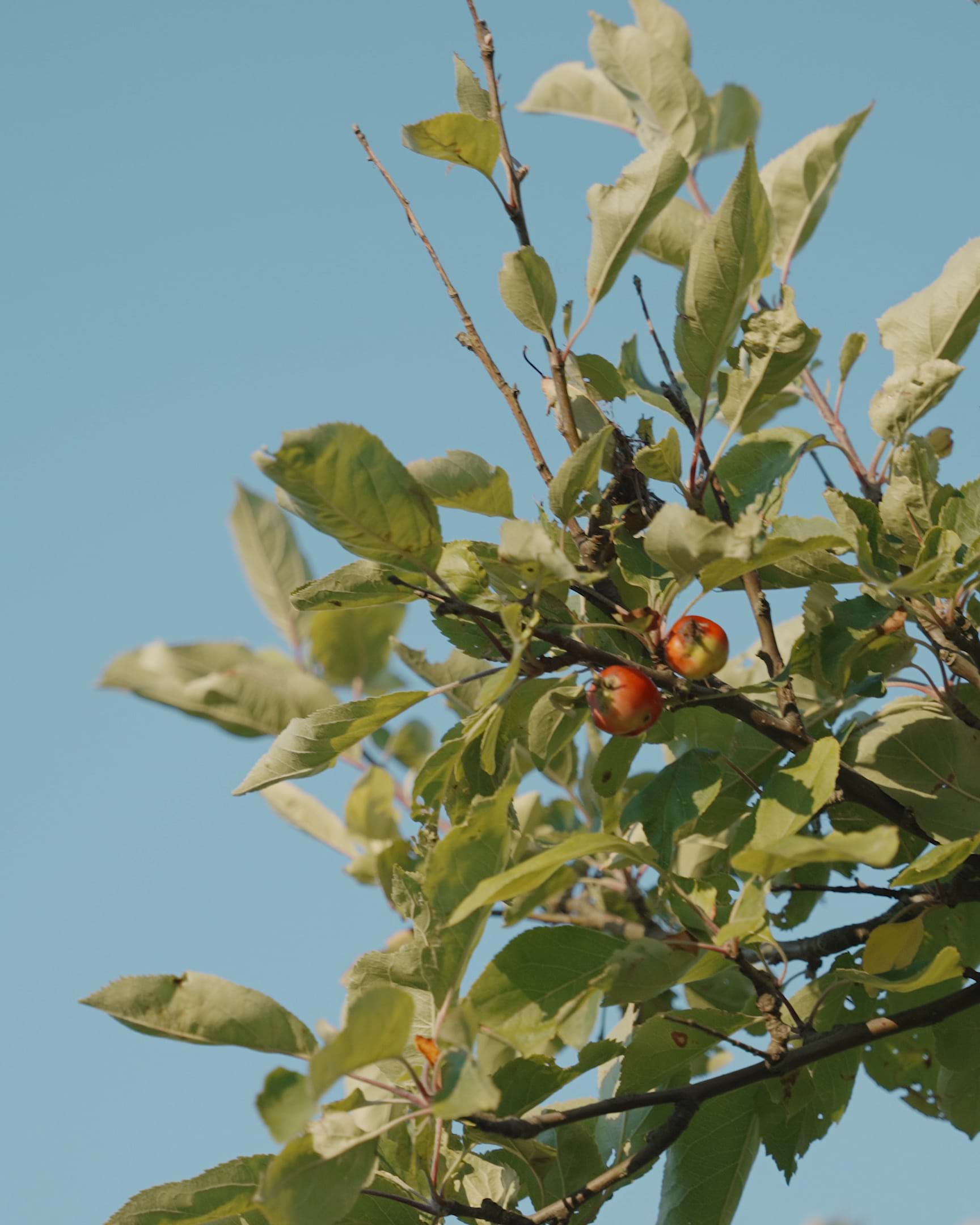 Logg Foto.00 26 51 09.Still136