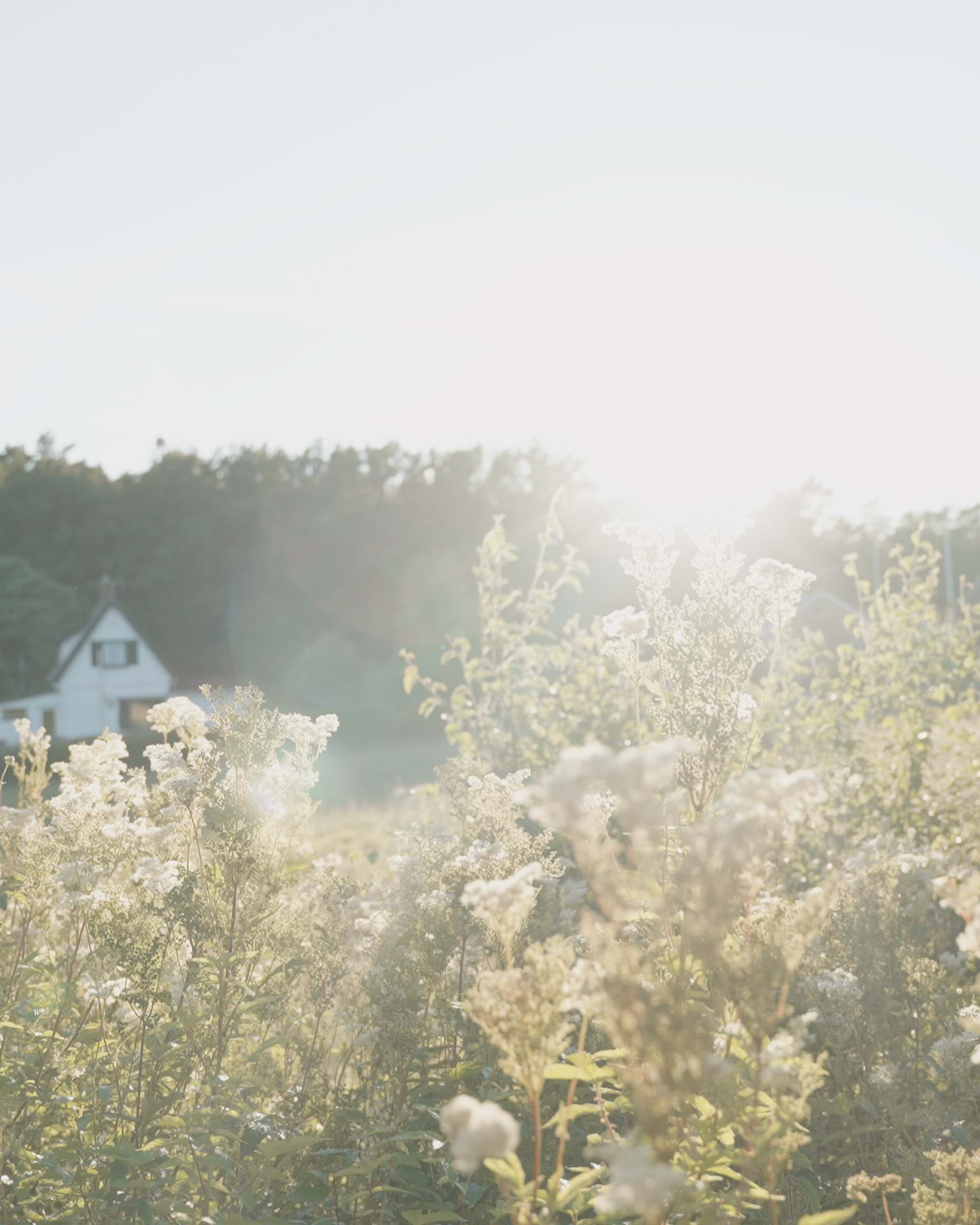 Logg Foto.00 27 03 07.Still137